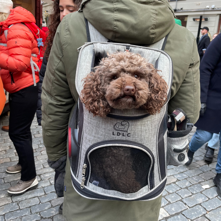 Cofi's Rucksack